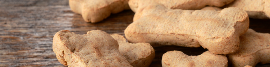 Comment faire des friandises pour chiens?