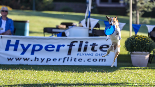 Découvrez le frisbee canin : Une activité ludique et sportive pour vous et votre chien