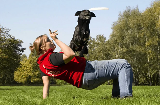 EuroDisc : Les frisbees pour chiens de haute qualité